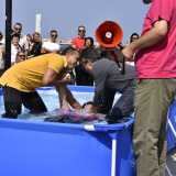...si lasciano cadere all�indietro affidandosi alle braccia del pastore e immergendosi completamente in acqua